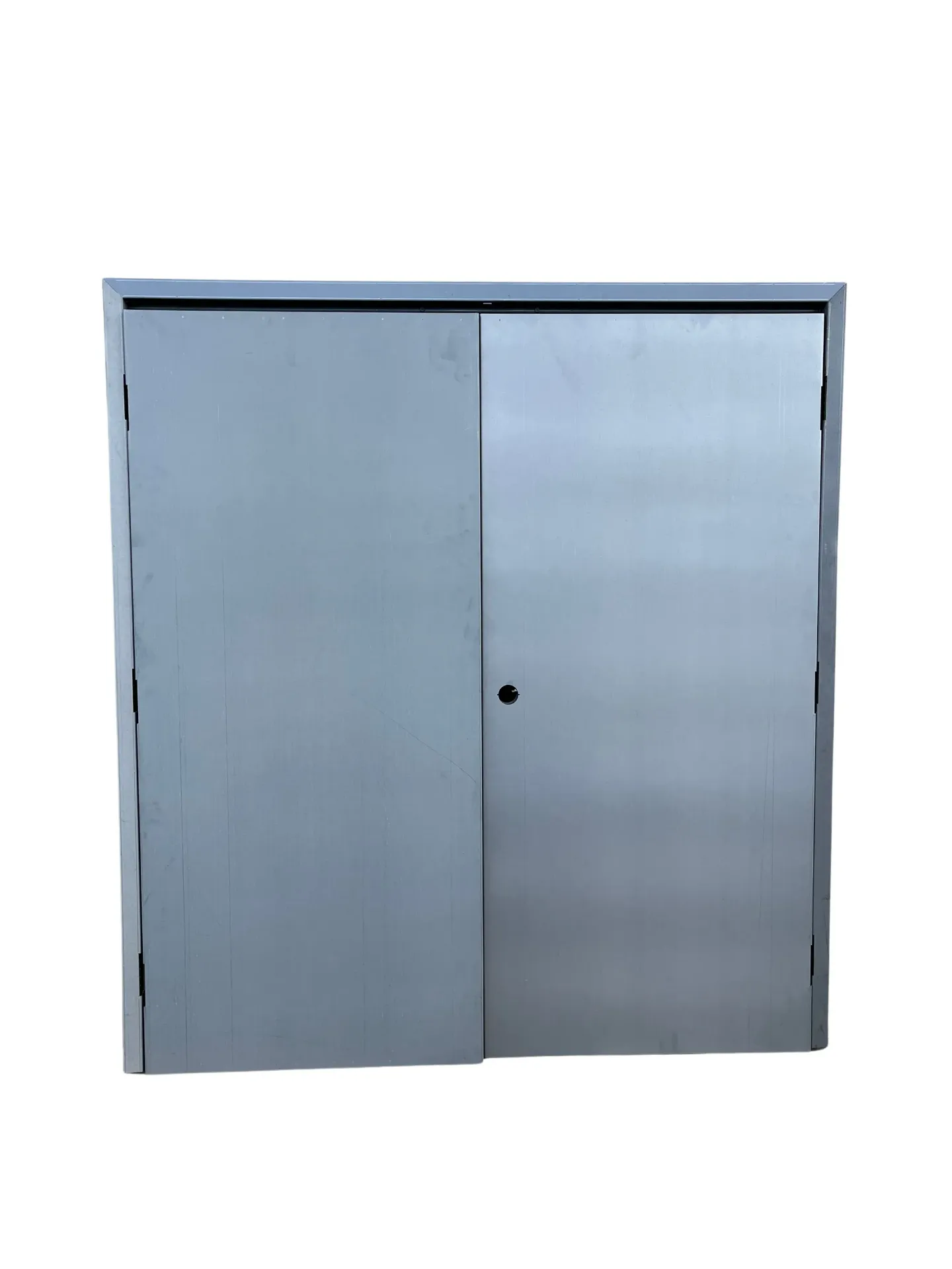 Double Steel Flush Doors W/Frame