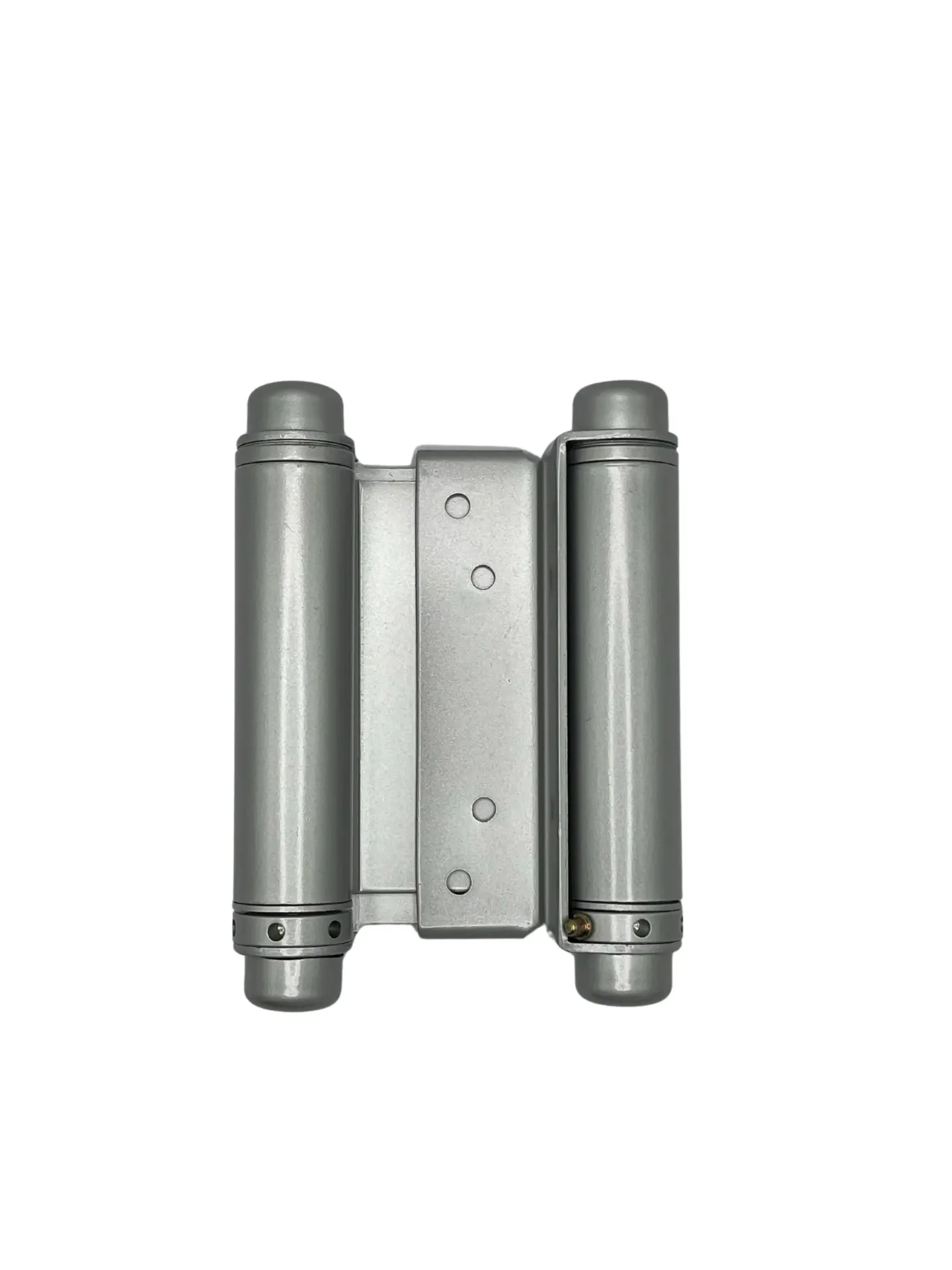 Hinge Double Action 4" SS