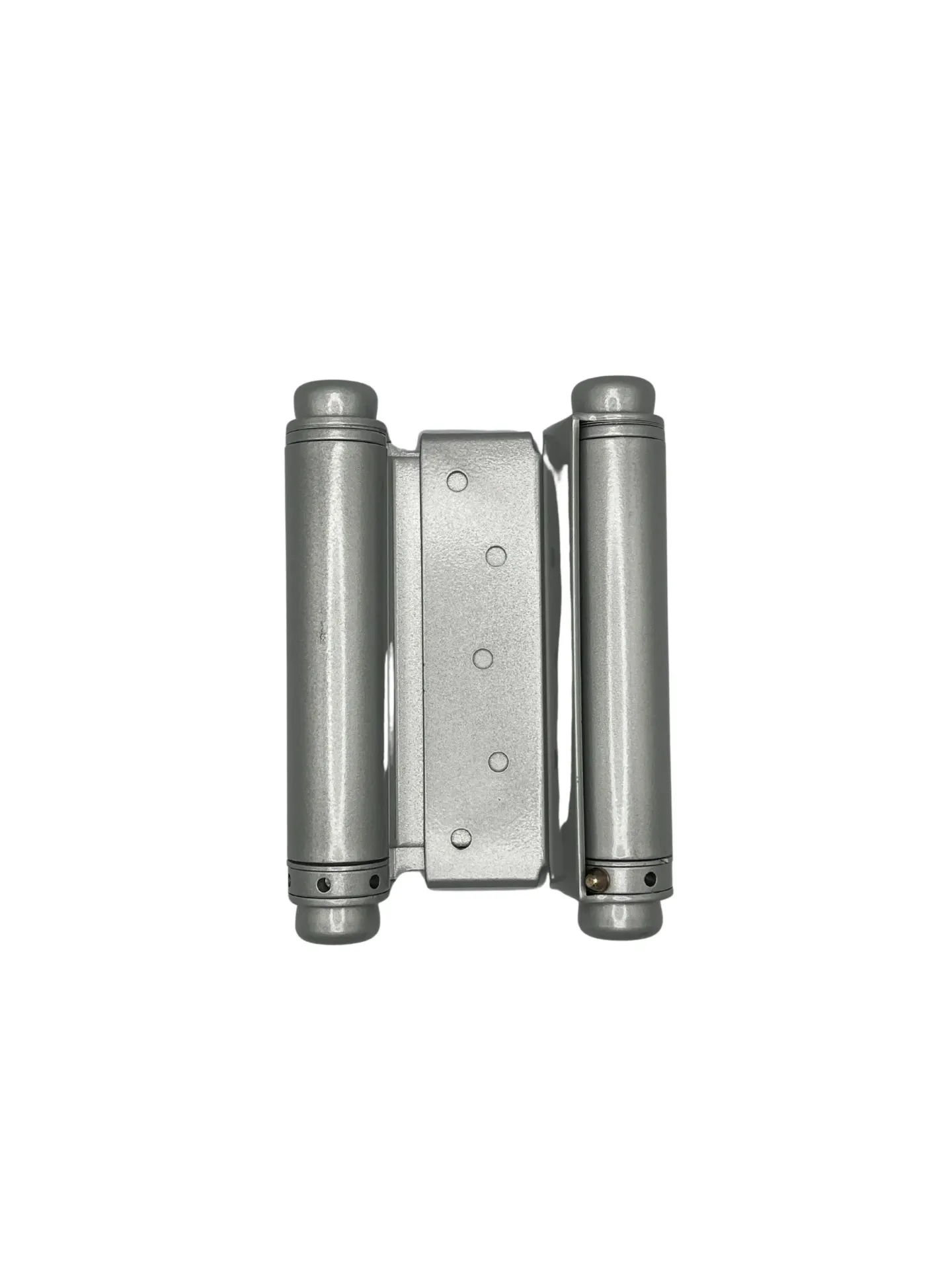 Hinge Double Action 5" SS